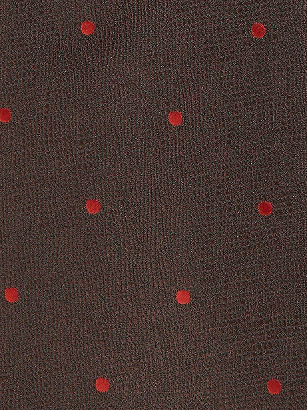 BROWN POLKA DOTS TIE