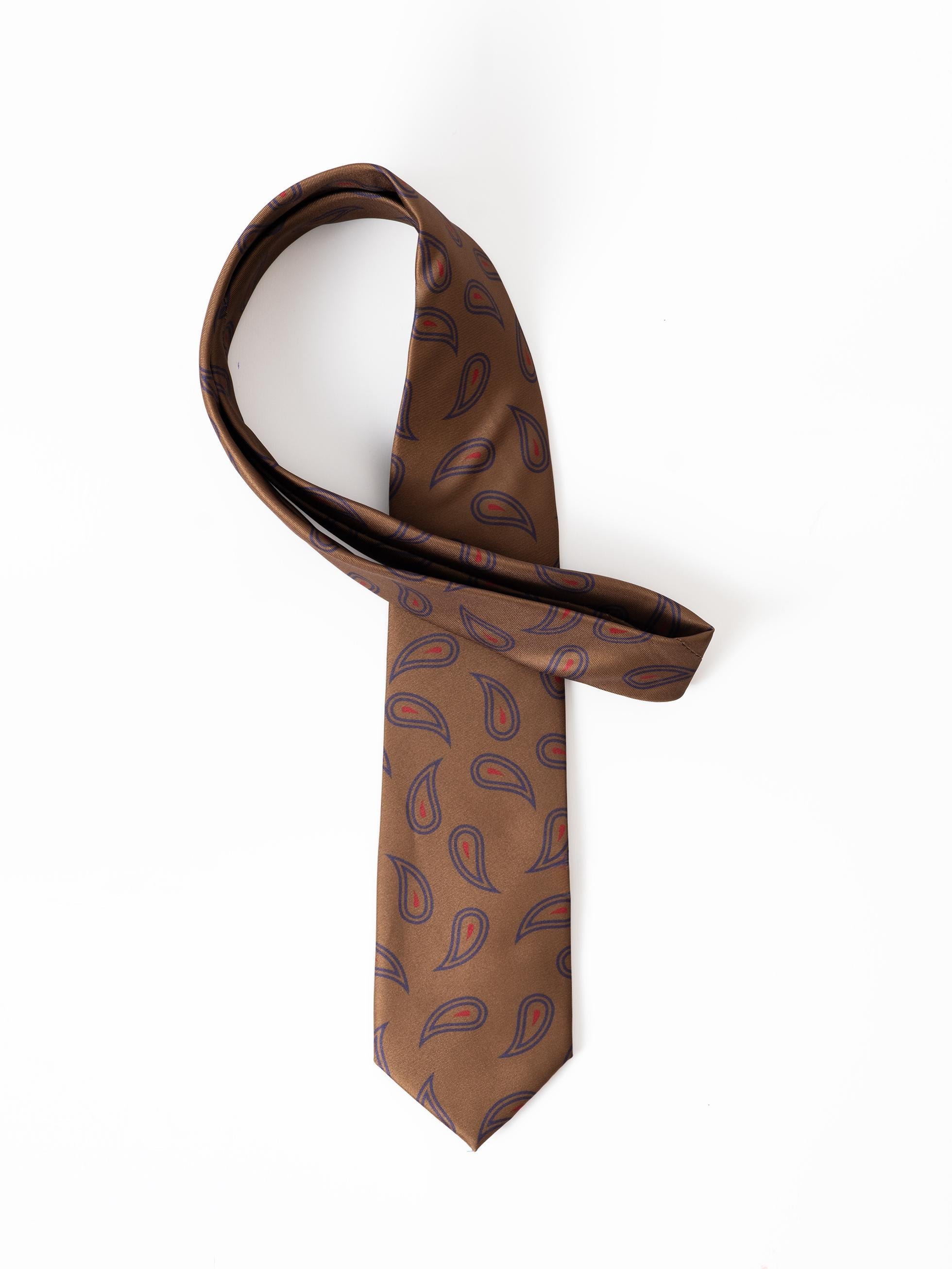 BROWN AMEBAS TIE